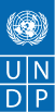 UNDP logo